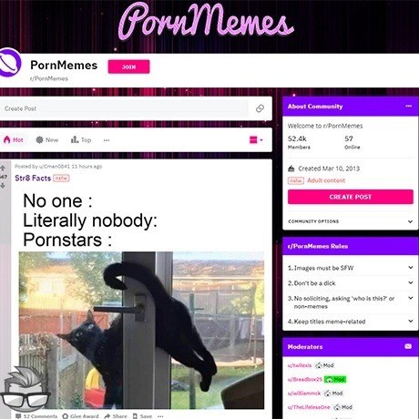 Reddit Porn Memes